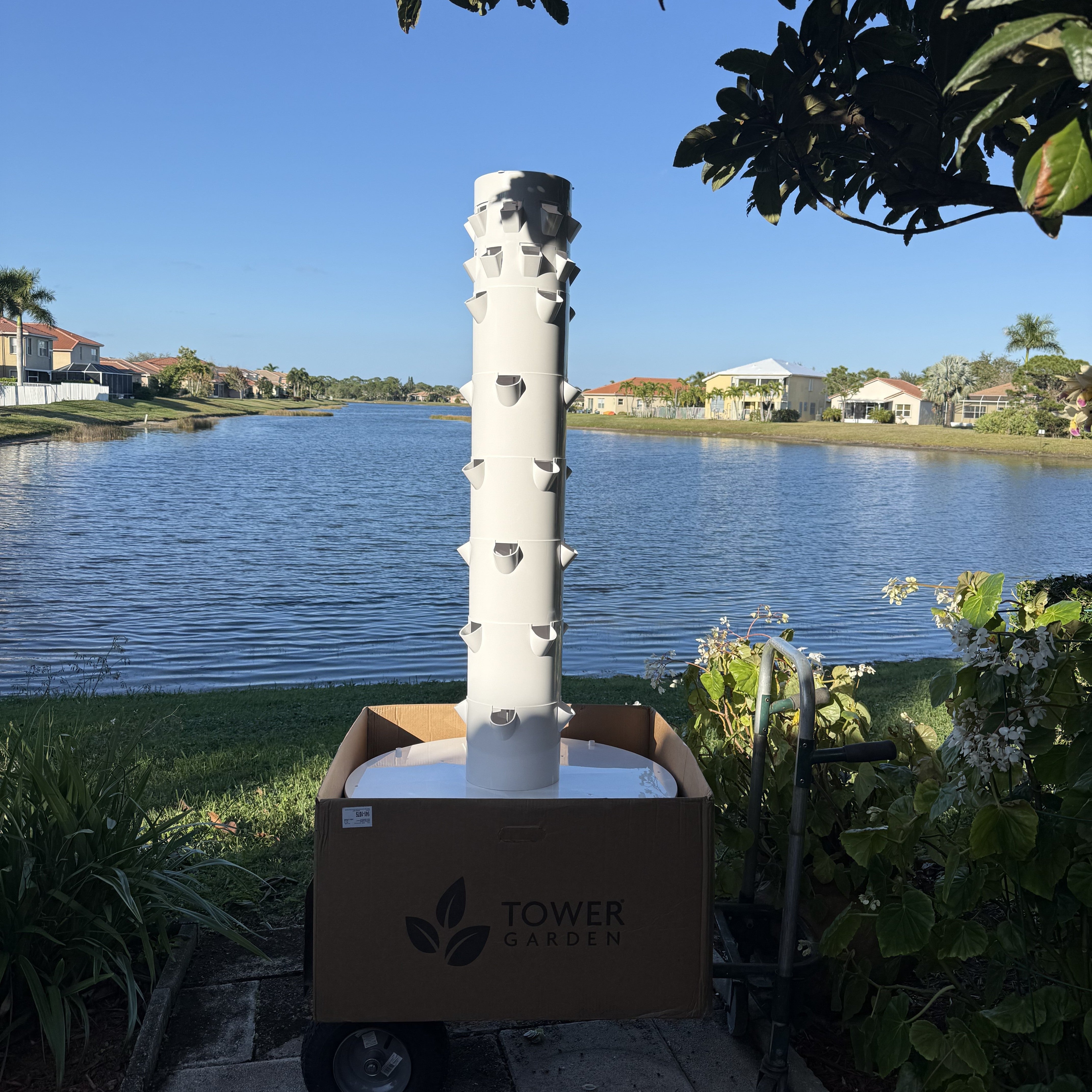 Tower Subscription – Yellow Dog Cafe