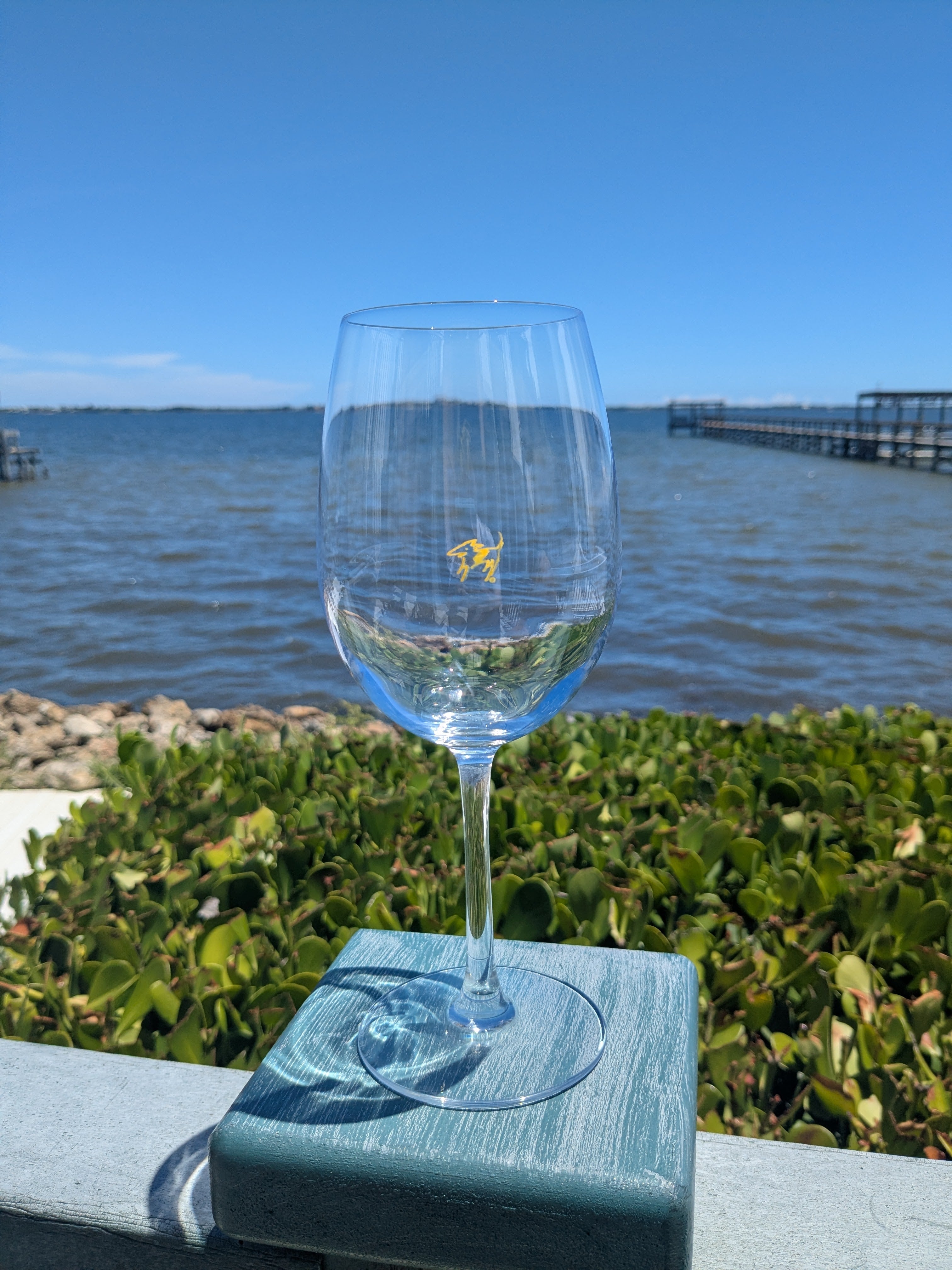 6 Pack of Wine Glasses