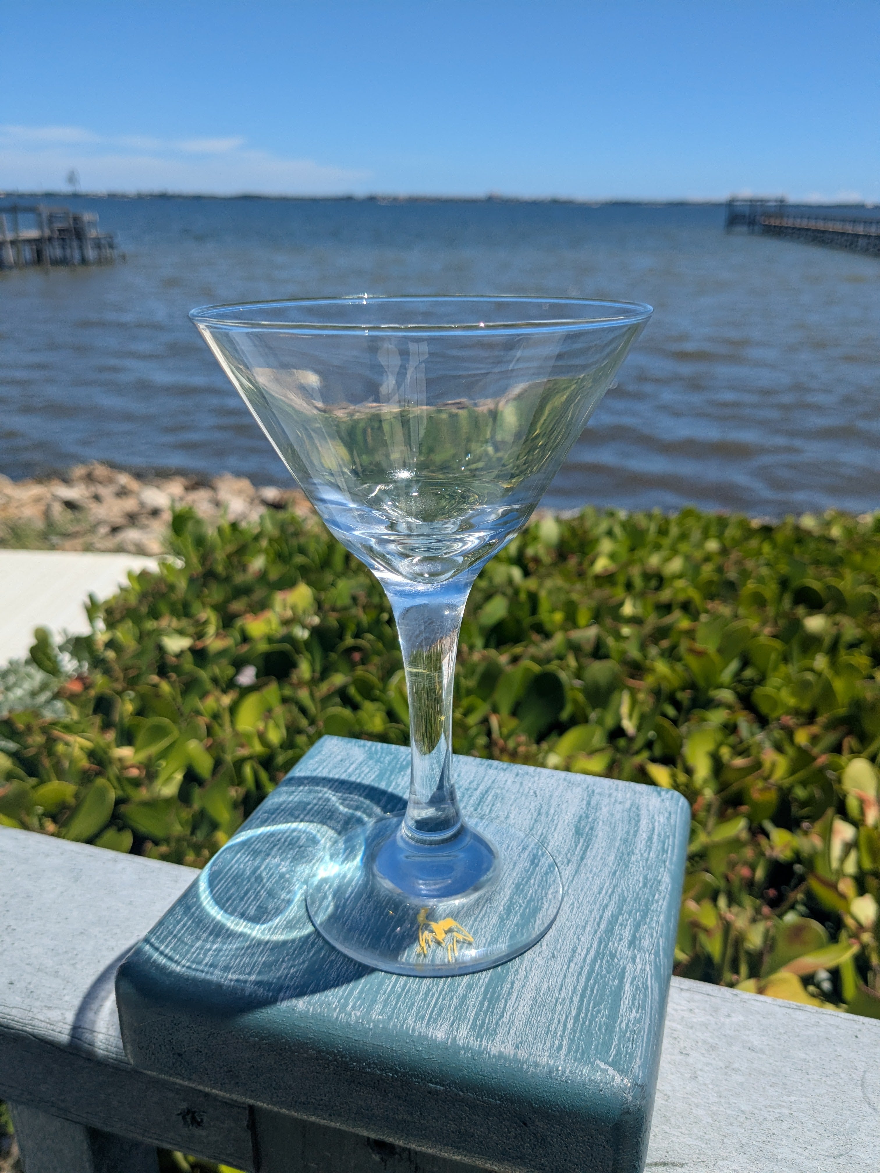6 Pack of Martini Glasses
