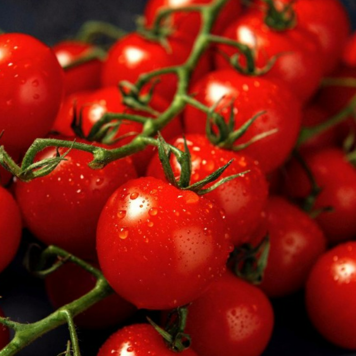 Resisentraube Tomato