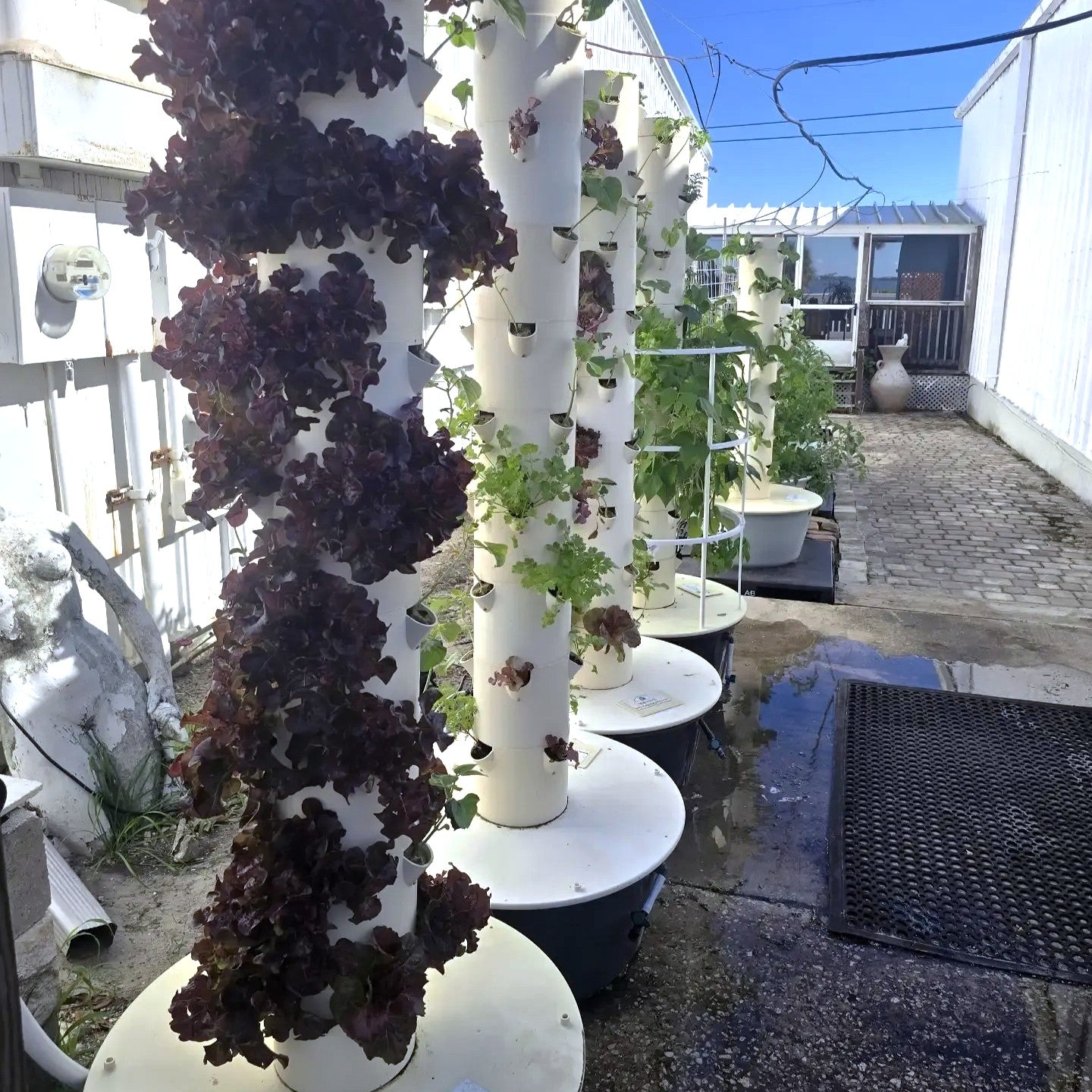 Rent a Tower Program