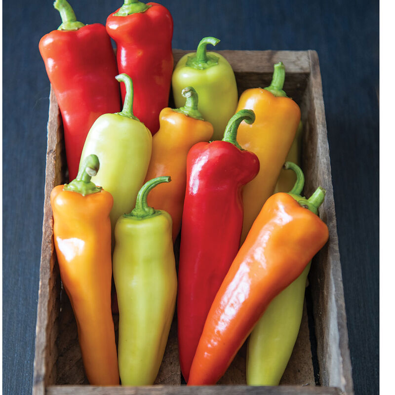 Hot Wax Pepper