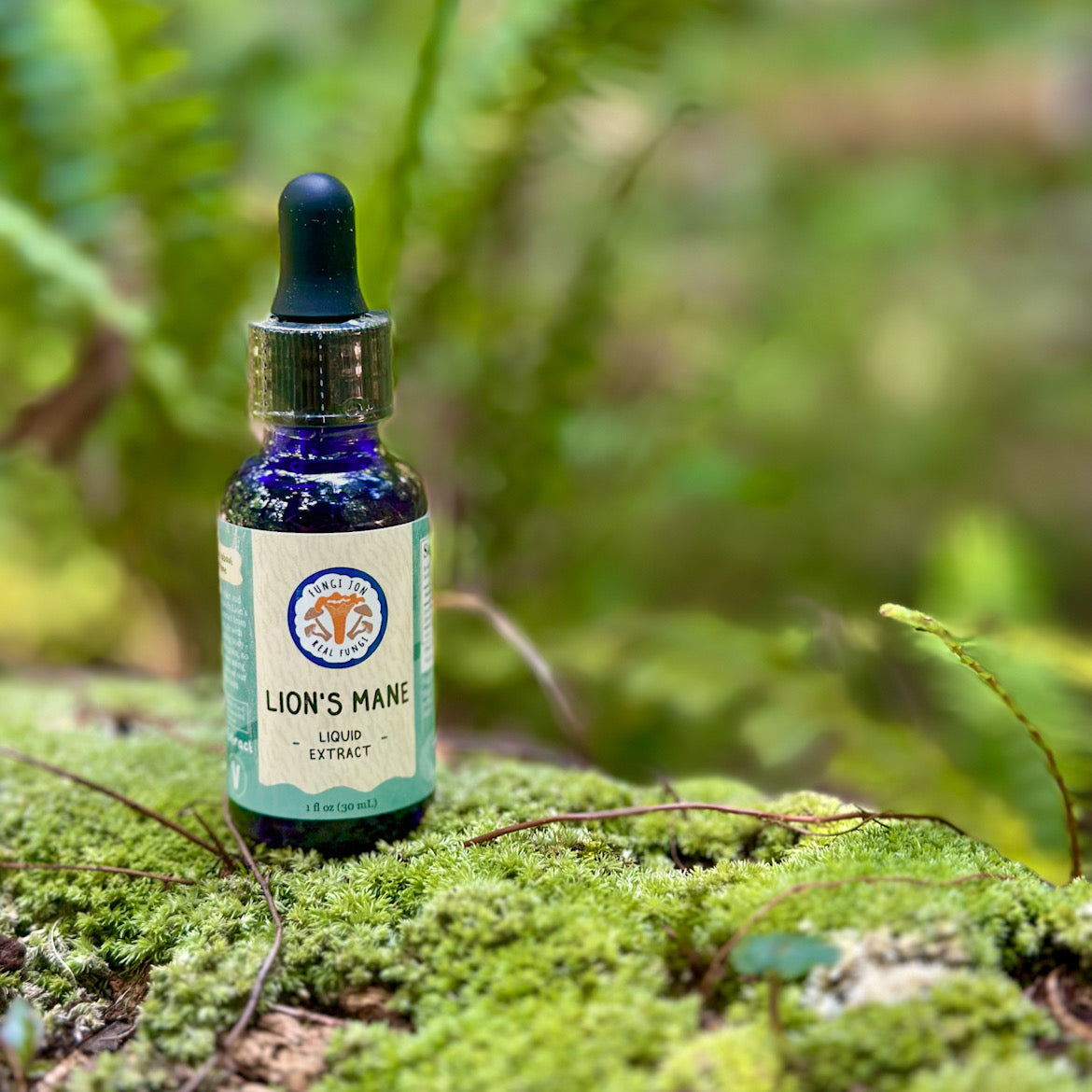 Lion’s Mane Liquid Extract