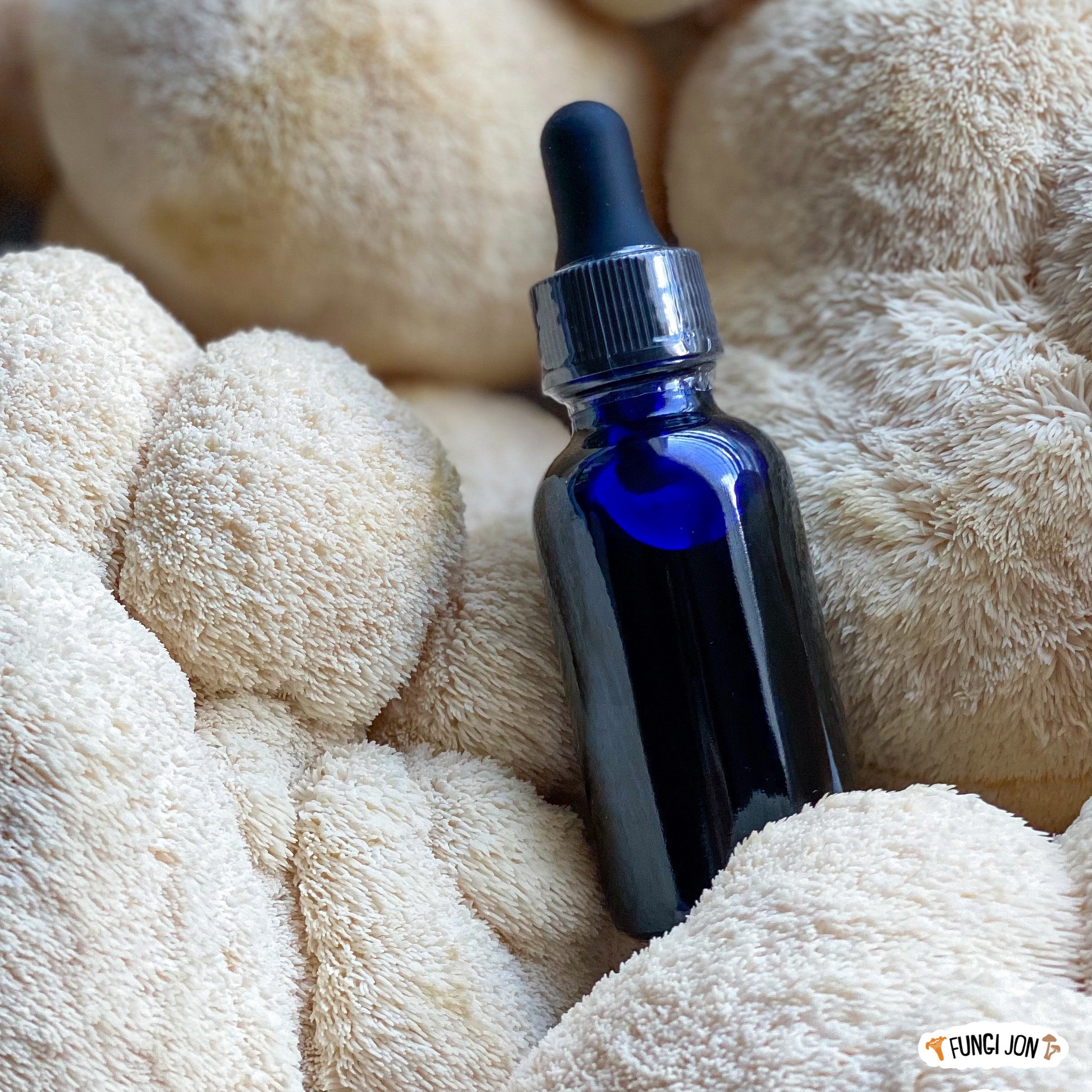 Lion’s Mane Liquid Extract