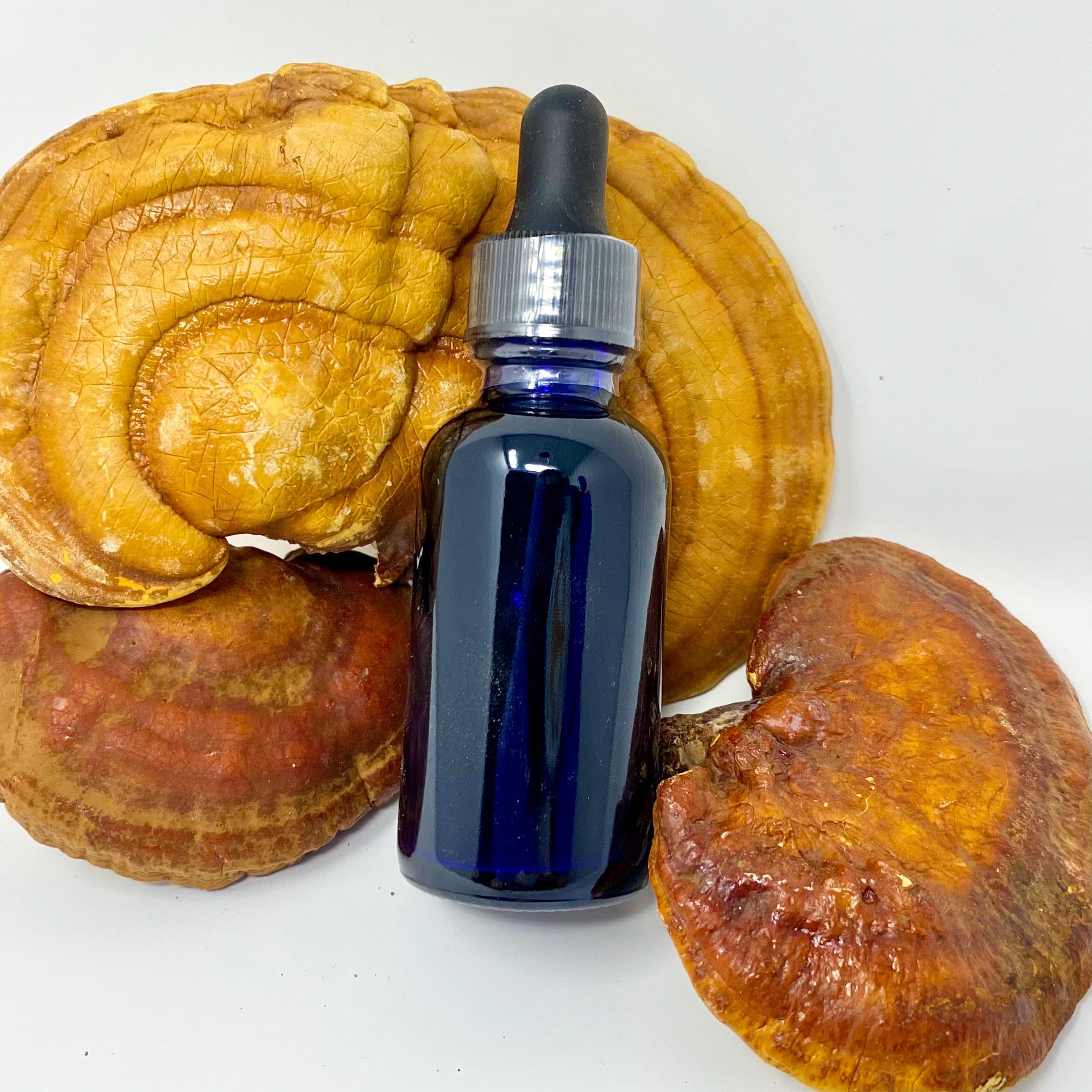 Reishi Liquid Extract