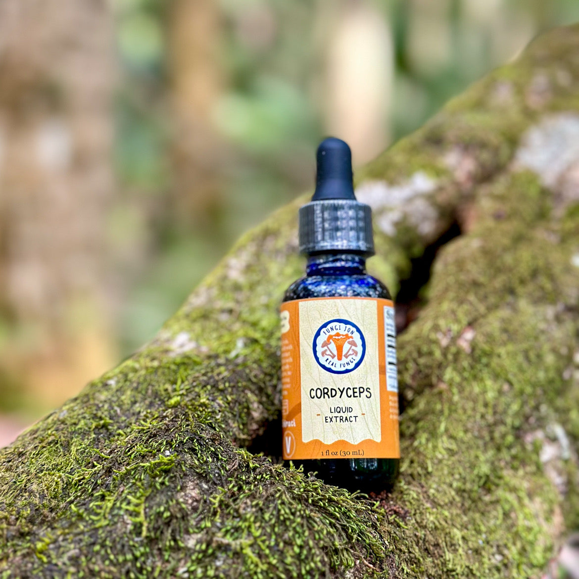 Cordyceps Liquid Extract