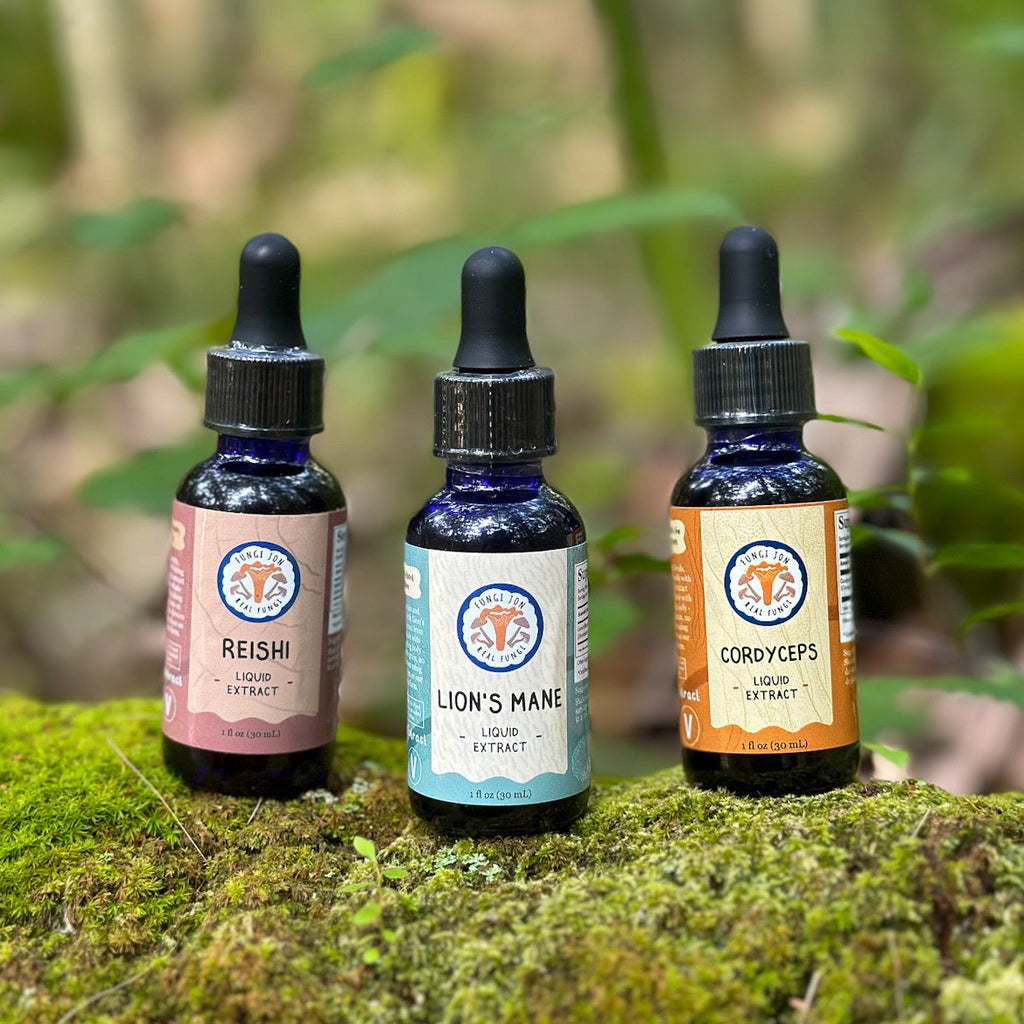 Fungi Tincture Trio (3-Pack)