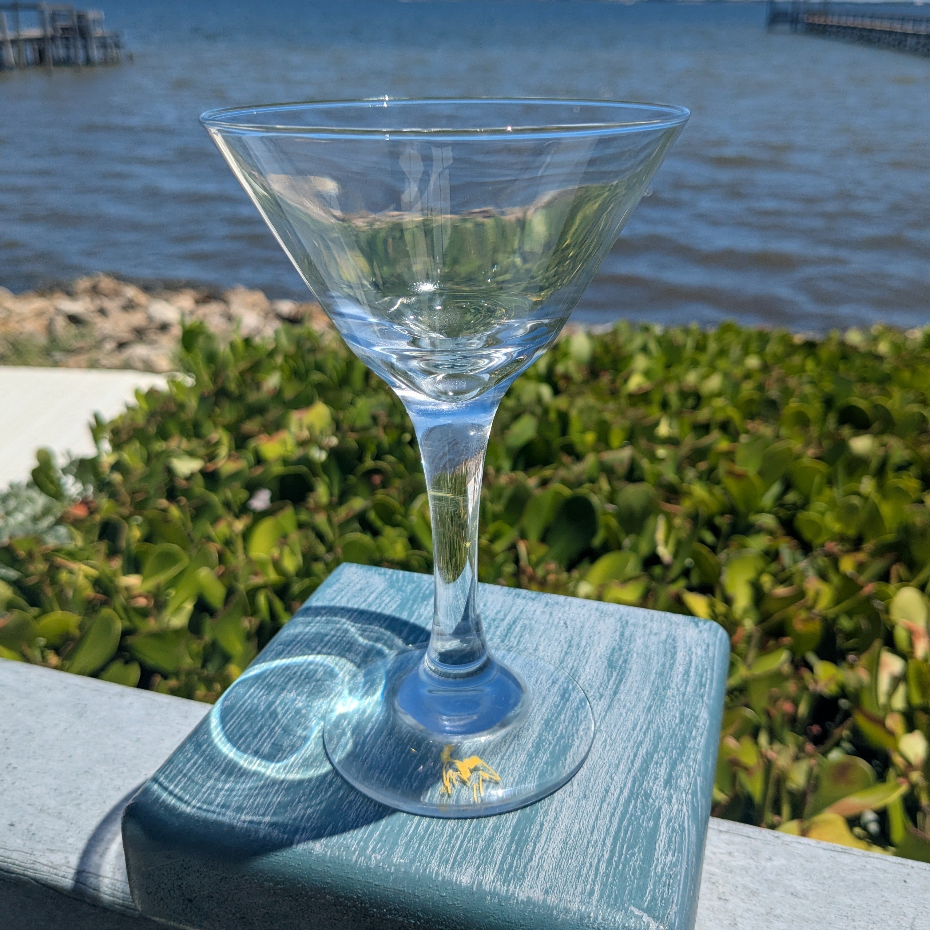 6 Pack of Martini Glasses