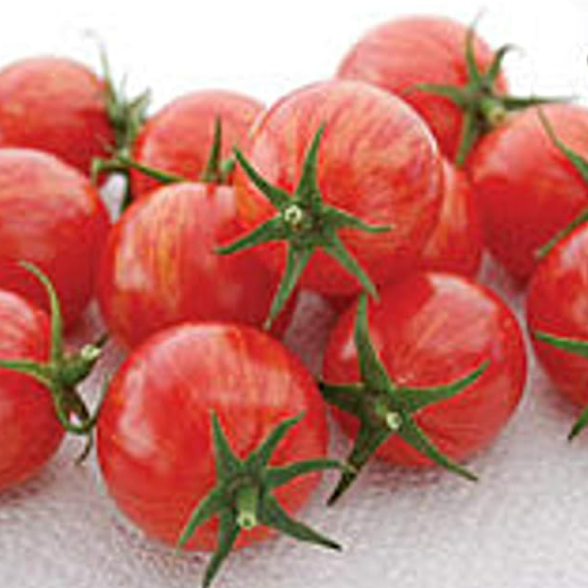 Pink Bumblebee Tomato