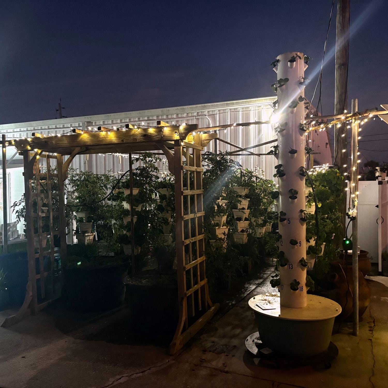 Rent a Tower Program