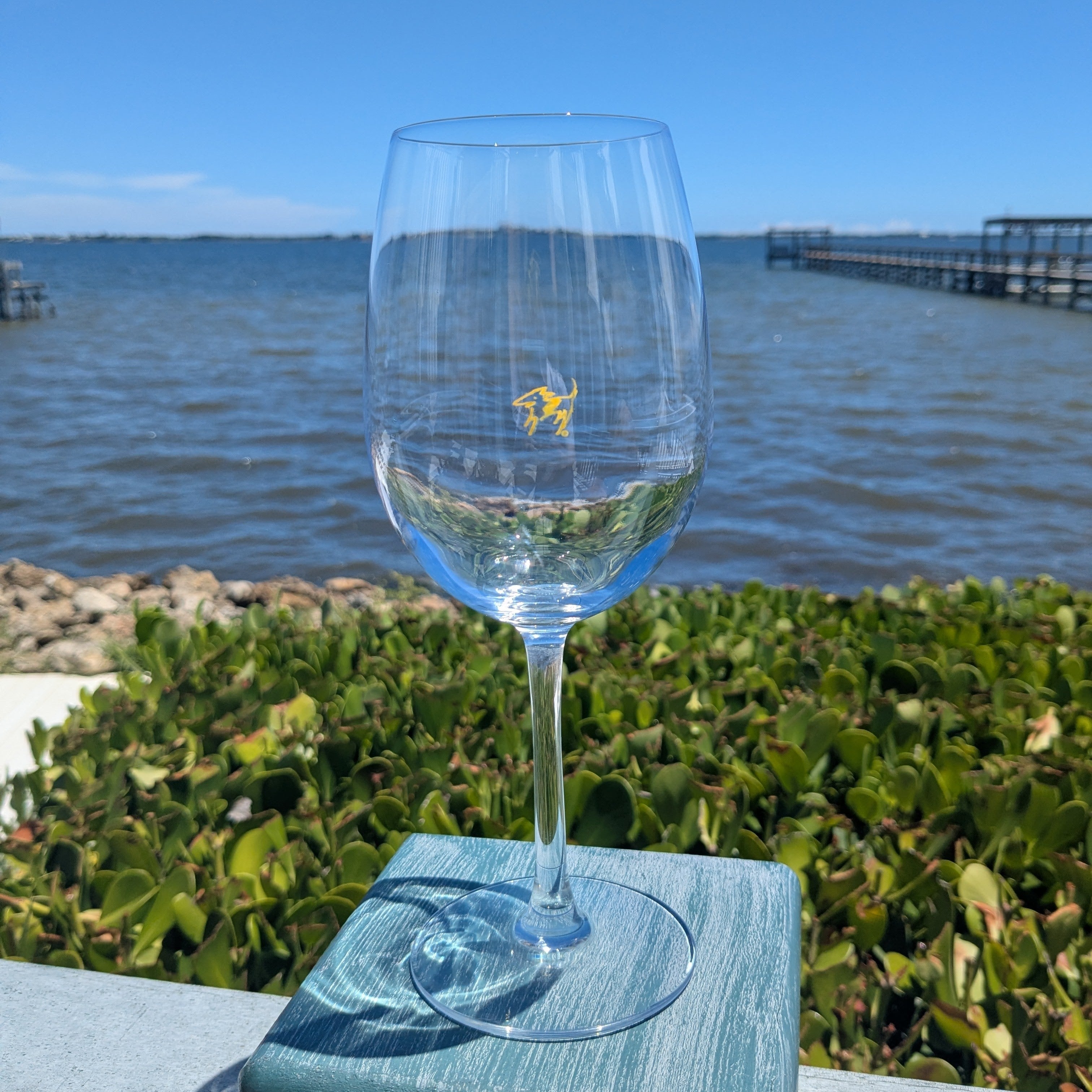 6 Pack of Wine Glasses